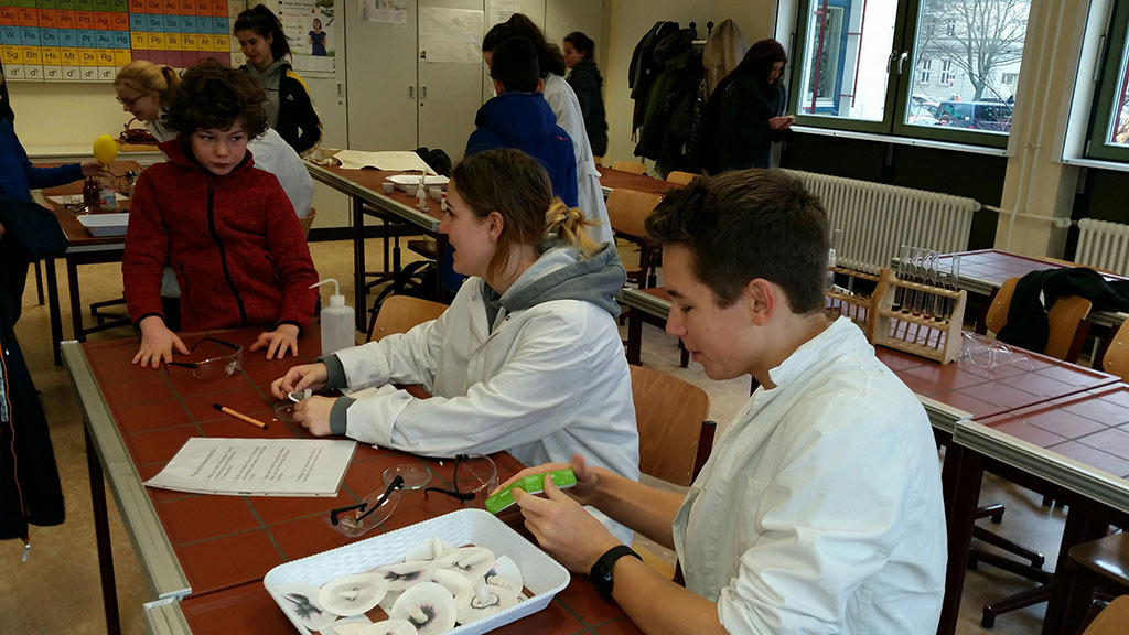 Webseite des Georg-Friedrich-Händel-Gymnasiums in Berlin - Tag der offenen Tür